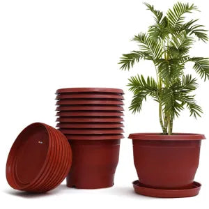 Brown Plastic Flowering Planter Pot with Bottom Tray Set (8 inch) ( Pack of 10)