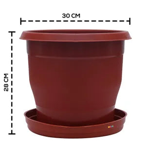 Brown Plastic Flowering Planter Pot with Bottom Tray Set (8 inch) ( Pack of 10)