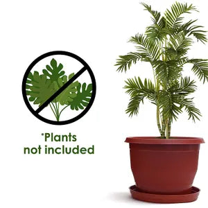 Brown Plastic Flowering Planter Pot with Bottom Tray Set (8 inch) ( Pack of 10)