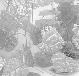 Silver Artificial Ivy Vines Silk Ivy Creepers Leaves Garland Hanging (12 Strings )